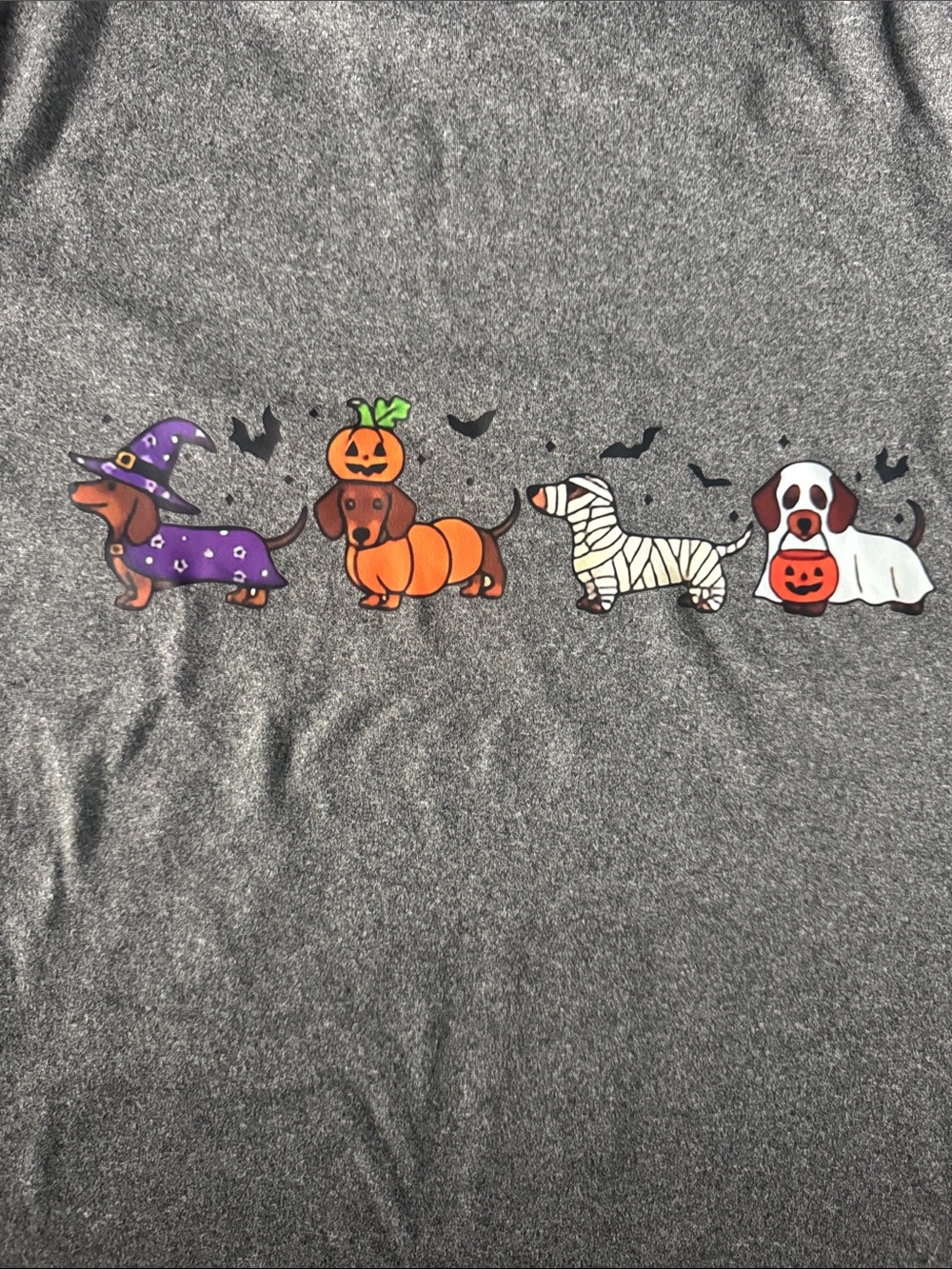 NWOT Halloween Graphic Tee - Pet-Themed Holiday Shirt - Picture 2 of 6